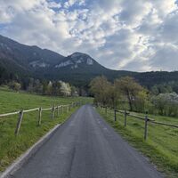 Auf der Geyerhofstraße sanft bergan, im Blick die Jubiläumsaussicht