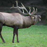 Tierpark Heitere