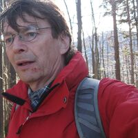 Aufstieg, die Bäume schlagen aus