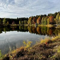Angelbecksteich im Herbst