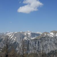 Schwabenbartl - Windgrube - Mittereralm - Fölzalm