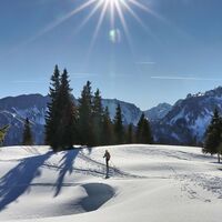 Über die Schiroute wandern wir wieder zurück