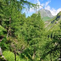 Der Weg ist so idyllisch und nur das Rauschen des Windes im Wald ist zu hören.