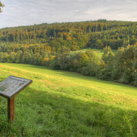 Moosalbwanderweg