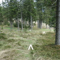 im Wald am Riegel runter zum Fröschnitzsattel