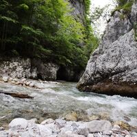 Trefflingfall