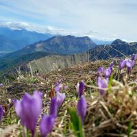 Blick in Richtung Val Tagliamento