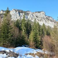 Türnacher Felsen