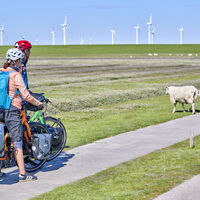 Weg zur Hamburger Hallig