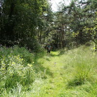 Bergischer Weg bei Durbusch