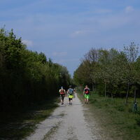 Freudenauer Hafen - Seestadt