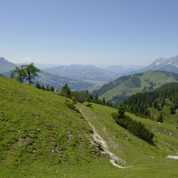 Blick zum Kalkstein, dahinter das Kaisergebirge