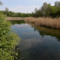 Freudenauer Hafen - Seestadt