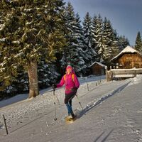 Schneeschuhwanderung am Teufelstein in Fischbach_Oststeiermark