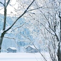 Winter in Bezau