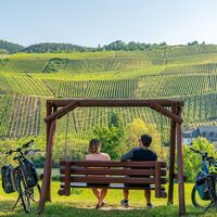 Genussradeln entlang des Mosel-Radwegs bei Erden