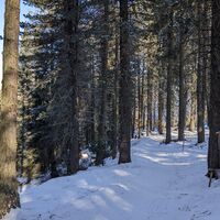 Ronda del Ciampedie ©Archivio APT Val di Fassa