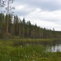 Raesärkkien Wildnissee
