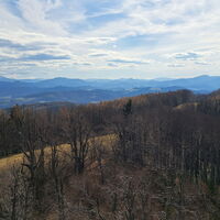 auf der Martras Warte