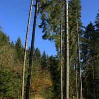 Gusen-Ursprung Runde