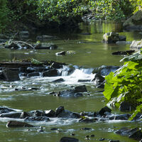 Die Orke bei Medelon