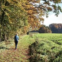 Der Weg führt abwechslungsreich durch die Landschaft