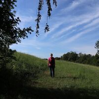 Buchkogelrunde, wandern entlang saftiger Wiesen, Stubenberg am See in der Oststeiermark