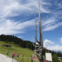Grafenberg