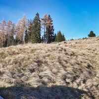 Auf der Hammerleckwiese