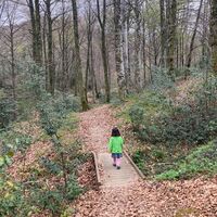 Kind auf der Holzbrücke