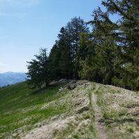 Singletrail Horbühlpass - Panorama Bike Etappe 11