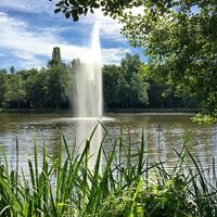 Schlossweiher in Jägersburg