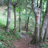 Aufstieg zur Kientaler Hütte