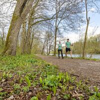 Der frühe Frühling lädt besonders in den Murauen zum Entdecken und Genießen ein.