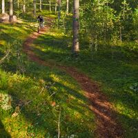 Heinälampi Trail, Mountainbiker auf dem Nadelpfad