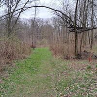 Bei den "Sieben Linden"