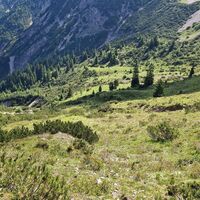 Rückblick auf die Hochfläche und dem Aufstiegsweg. In der linken Bildhälfte der Bacheinschnitt in dem ich aufgestiegen bin.