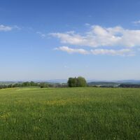 Dachsberg 9