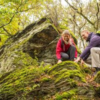 Wanderabenteuer im Wald