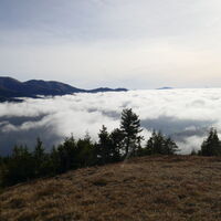 Im Süden bleibt der Nebel hartnäckig