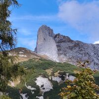 Zoom zum Sturzhahn