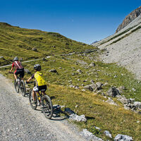 Junger Radfahrer auf dem Weg zum Val-Alpisella-Pass