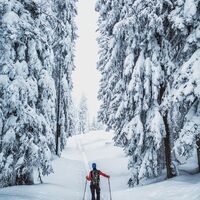 Skitour am Hochkönig