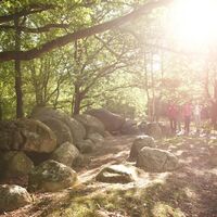 Hühnengräberstraße des Hümmling