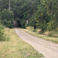 Unterhalb der Hasenköpfe / Aufstieg zur Altenburg