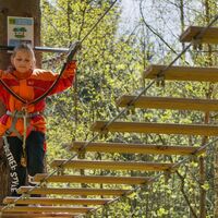 Kletterpark Grünheide