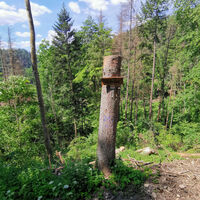 Einstieg auf den Hutpfad