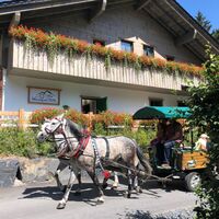 Pferdekutsche an der Werraquell Hütte