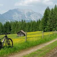 Mountainbike an der Aich-Runde