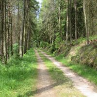Weg durch Tännertal